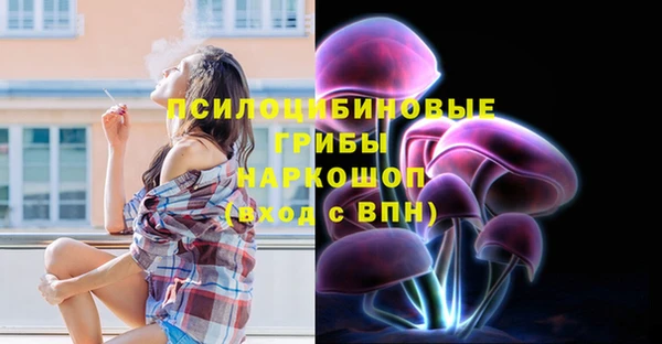 прущая мука Новозыбков