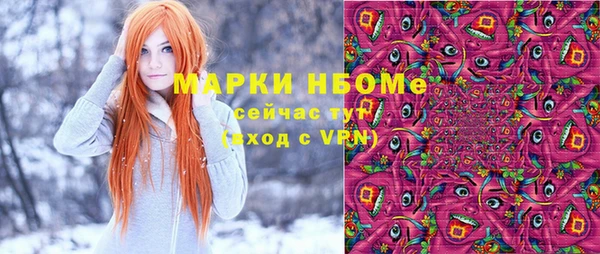 СК Новодвинск