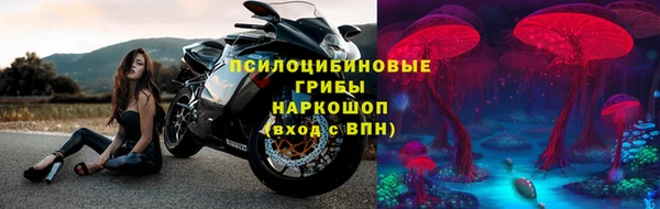 стафф Новокубанск