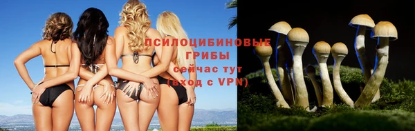 альфа пвп Нефтегорск