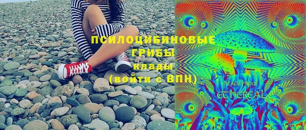 СК Новодвинск