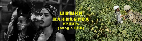 СК Новодвинск