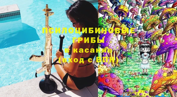 стафф Няндома
