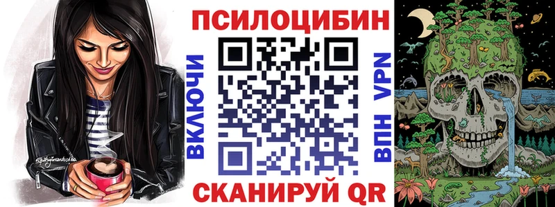 Псилоцибиновые грибы Psilocybe  Мураши 